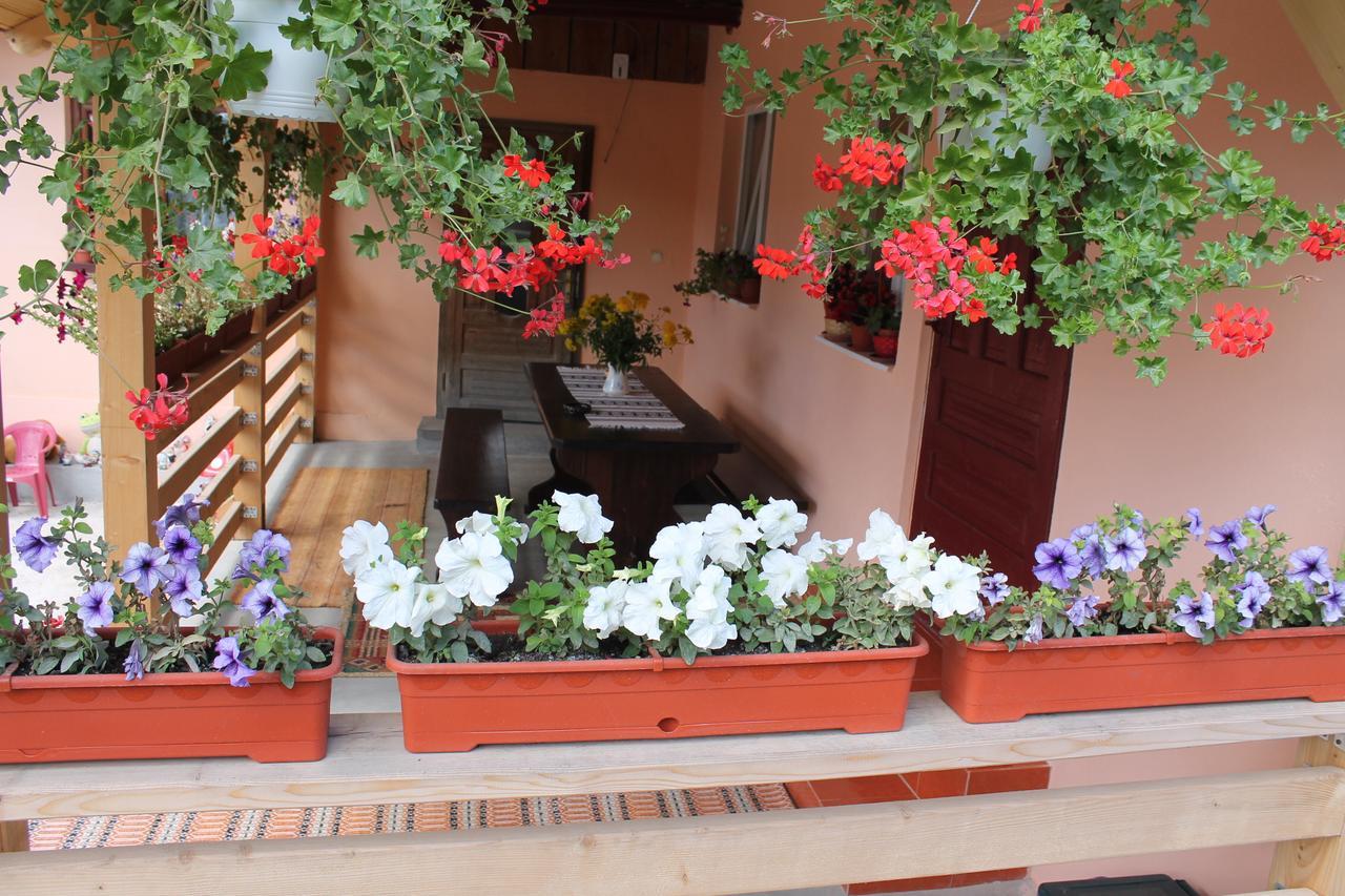 Casa Andreia Villa Gura Humorului Exterior photo